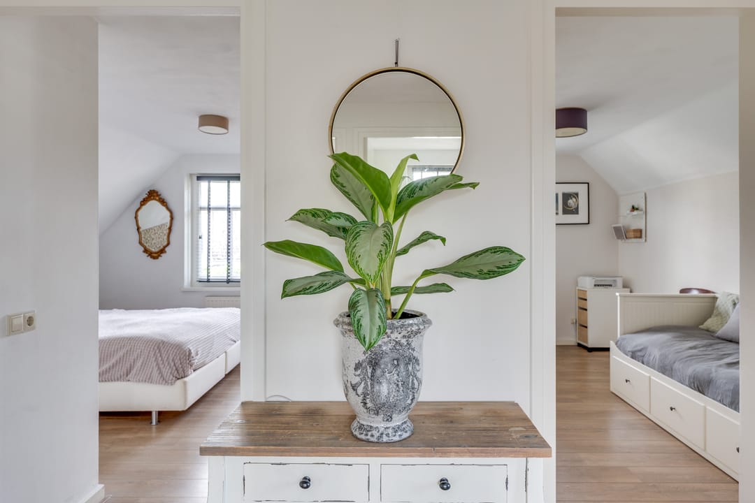 Foto 37 van Dekanijstraat 5