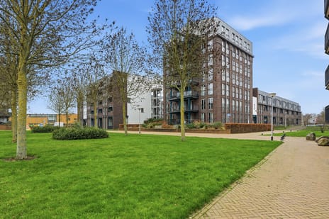 Vivaldistraat thumbnail