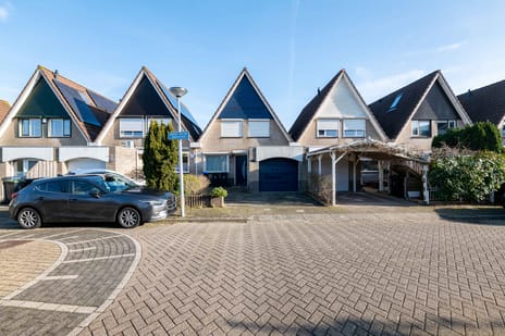 Willem van der Zaanstraat thumbnail