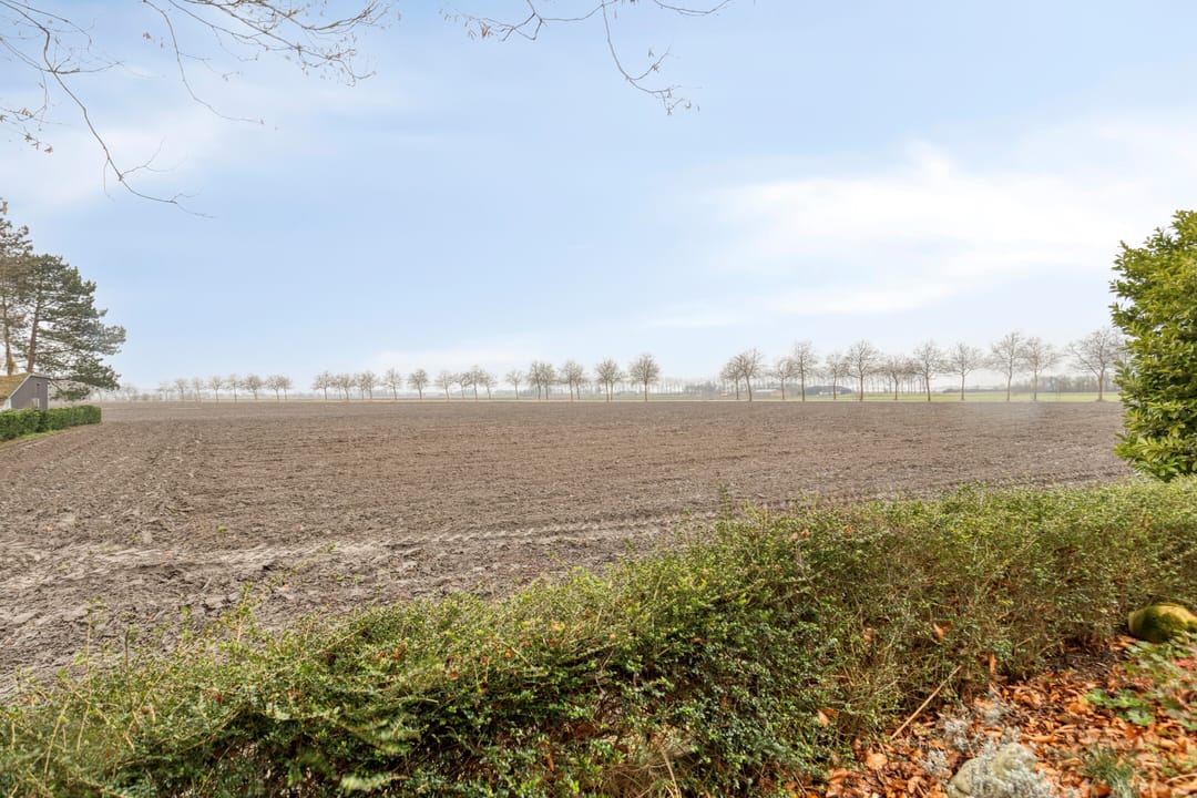 Foto 31 van Zoutedijk 5