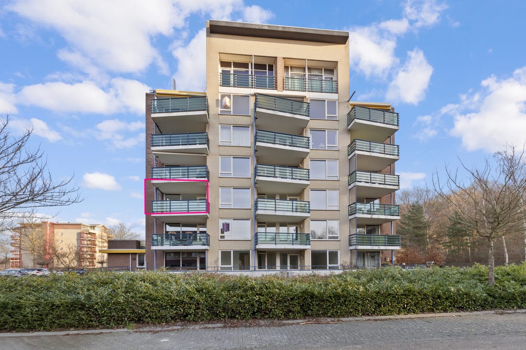 Foto 1 van Veldzuring 111