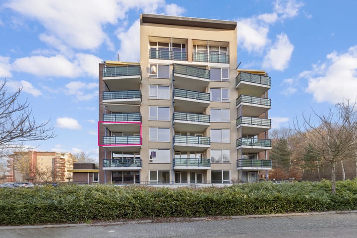 Foto 1 van Veldzuring 111