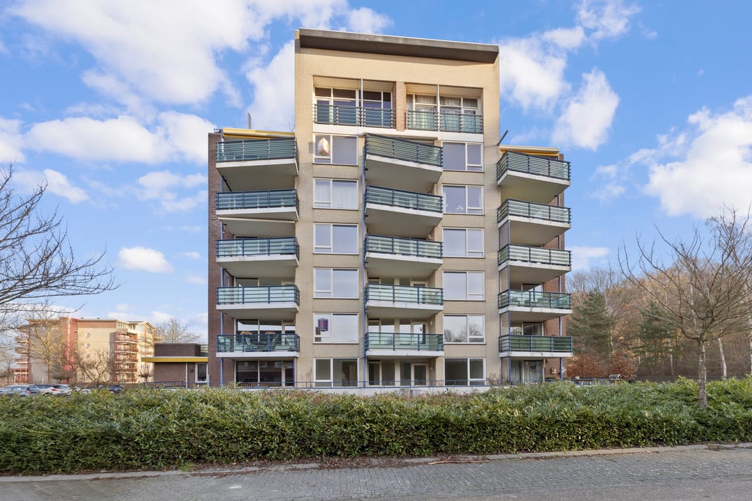 Foto 2 van Veldzuring 111