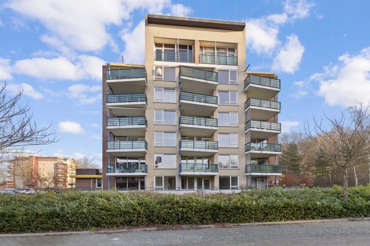 Foto 2 van Veldzuring 111