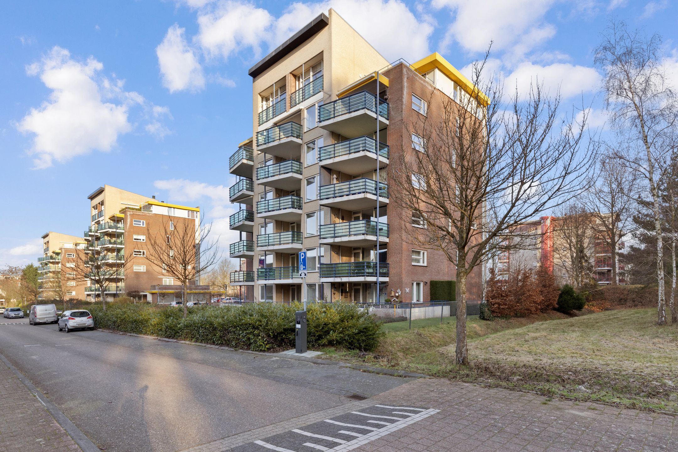 Foto 3 van Veldzuring 111