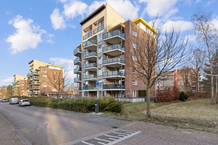 Foto 3 van Veldzuring 111