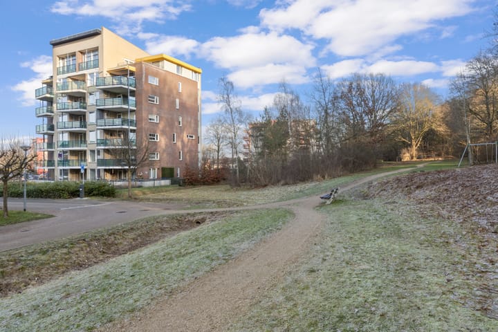 Foto 4 van Veldzuring 111