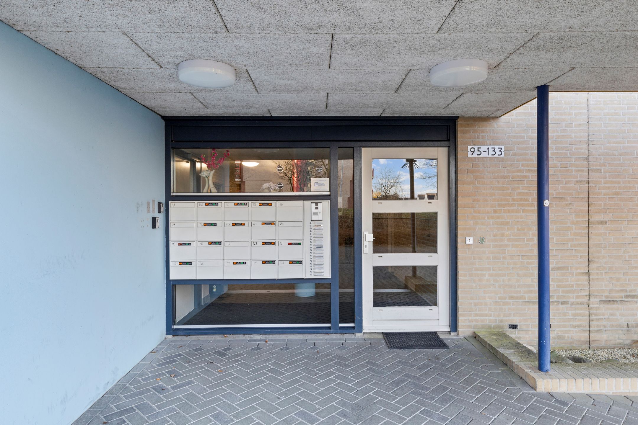 Foto 9 van Veldzuring 111