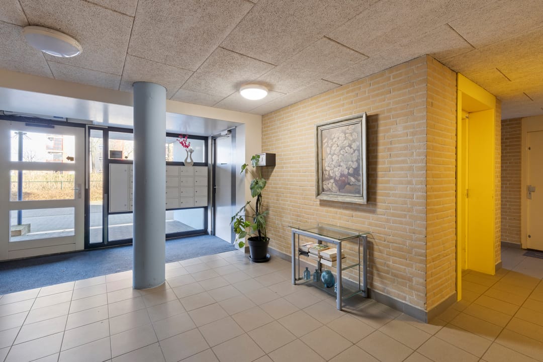 Foto 11 van Veldzuring 111