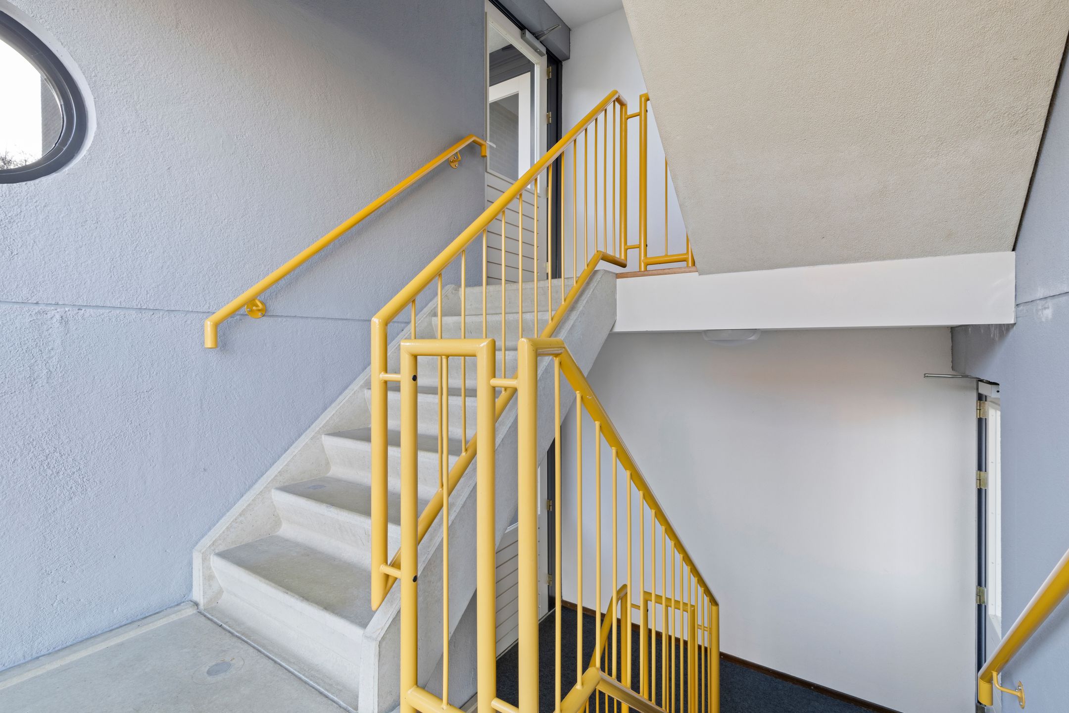 Foto 12 van Veldzuring 111