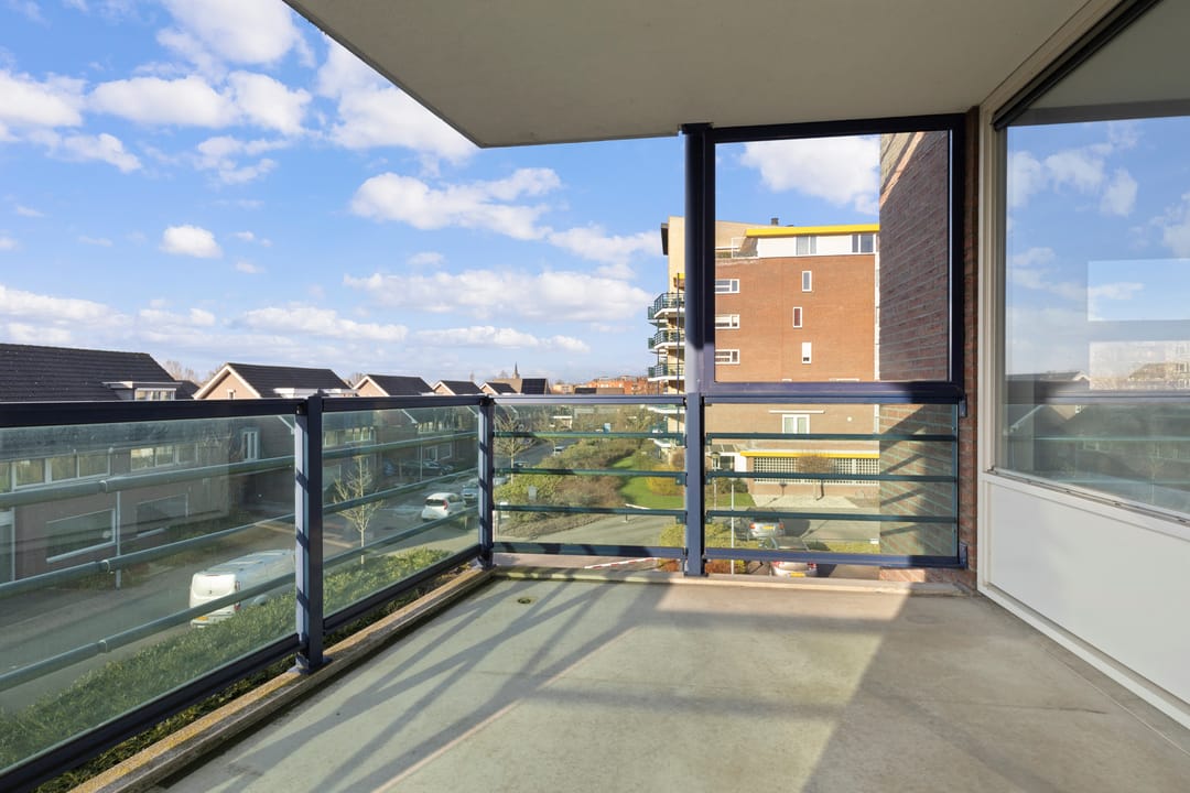 Foto 31 van Veldzuring 111