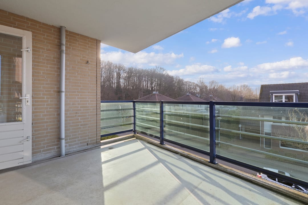 Foto 32 van Veldzuring 111