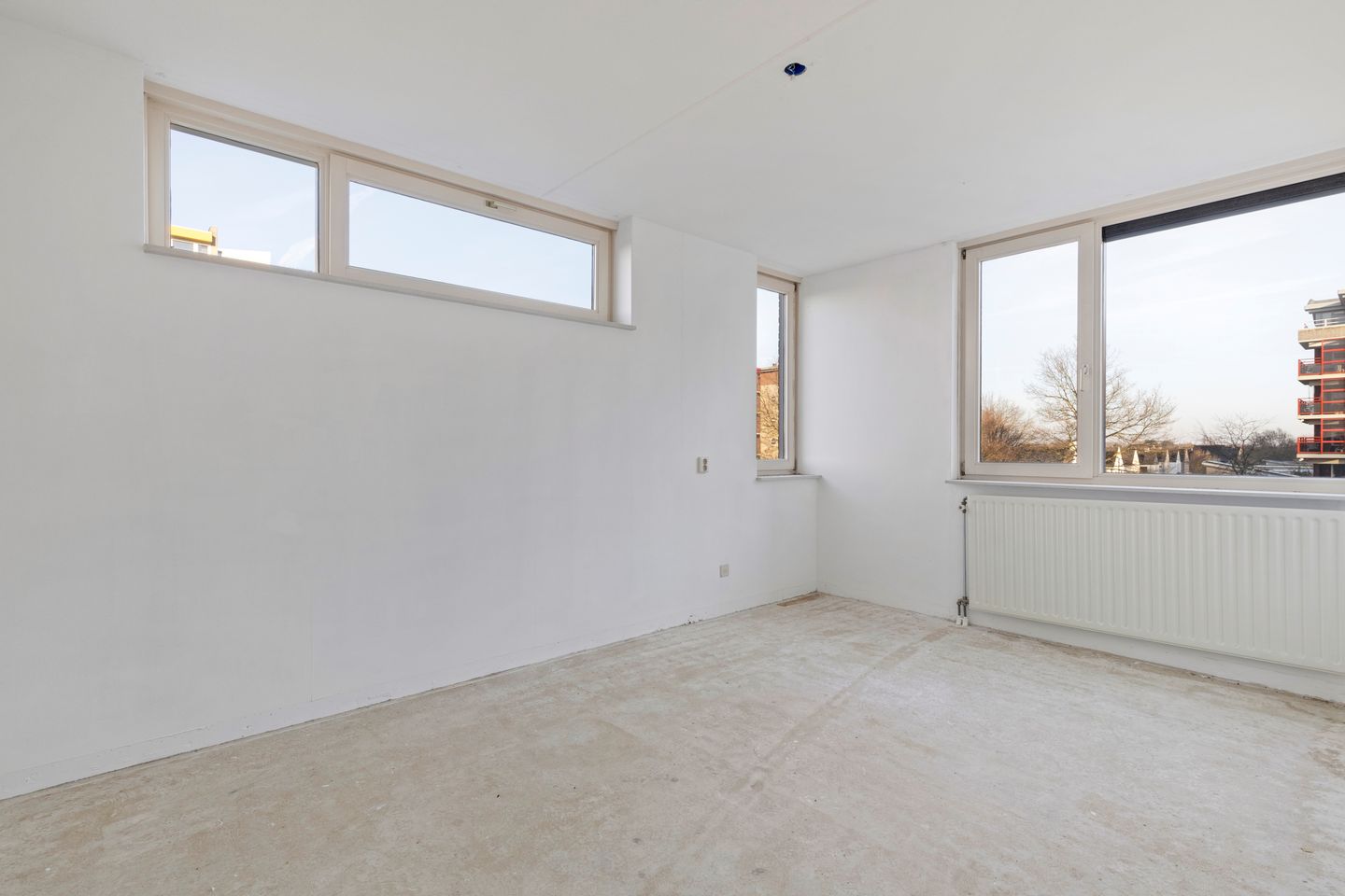 Foto 35 van Veldzuring 111