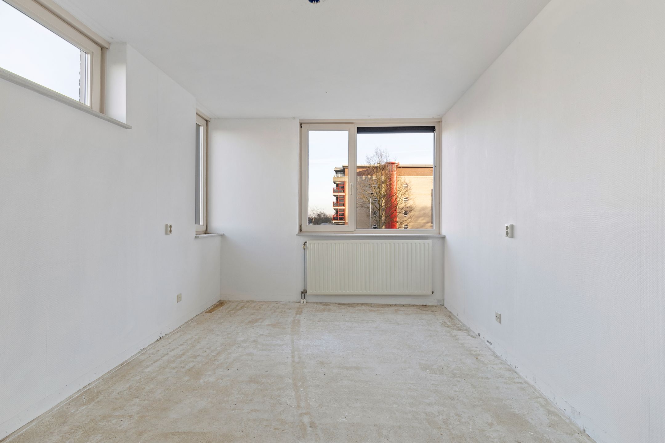 Foto 36 van Veldzuring 111