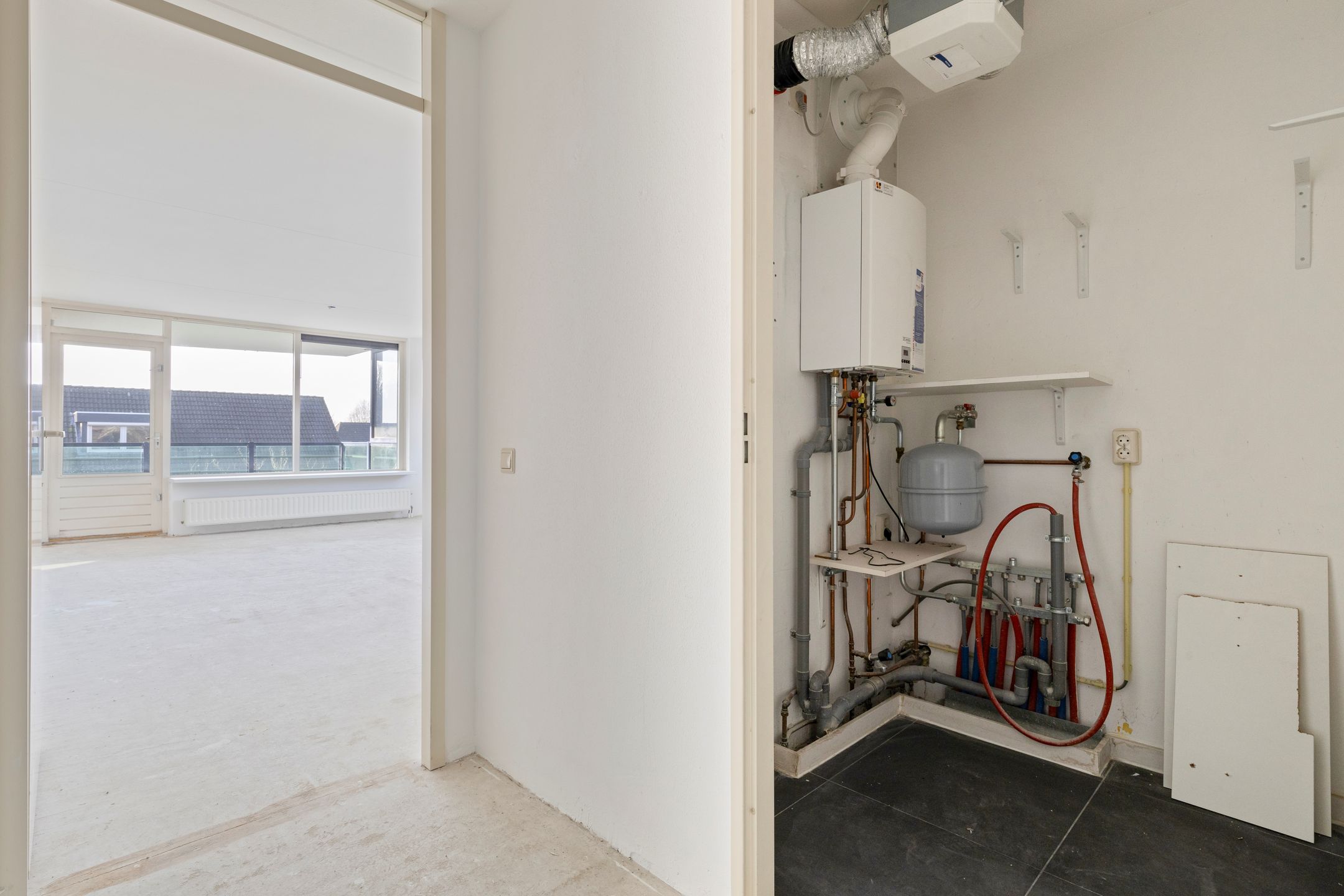 Foto 42 van Veldzuring 111