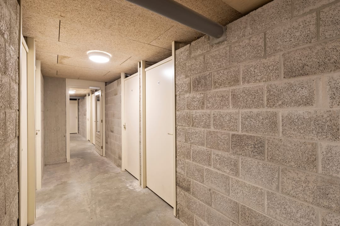 Foto 43 van Veldzuring 111