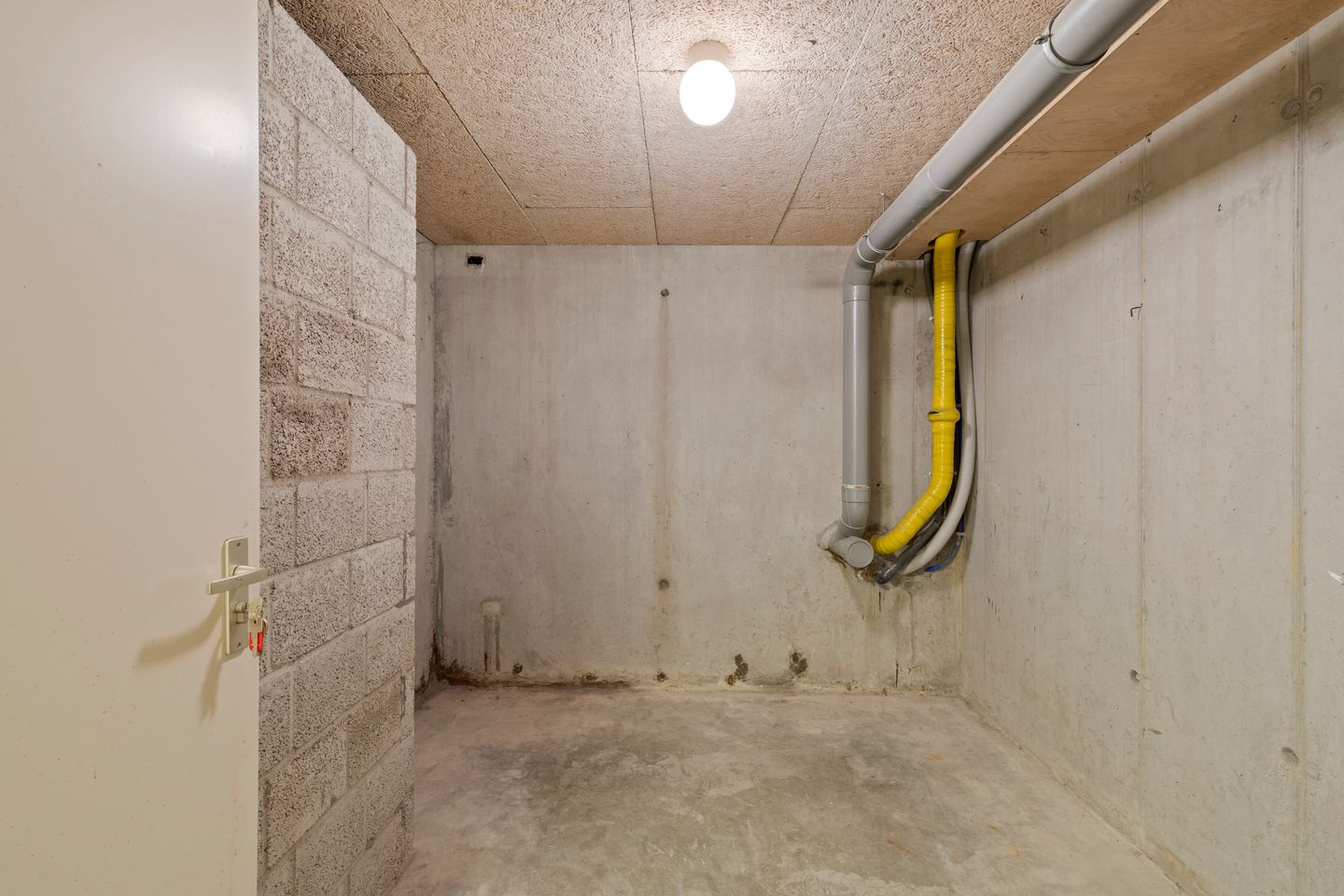 Foto 44 van Veldzuring 111