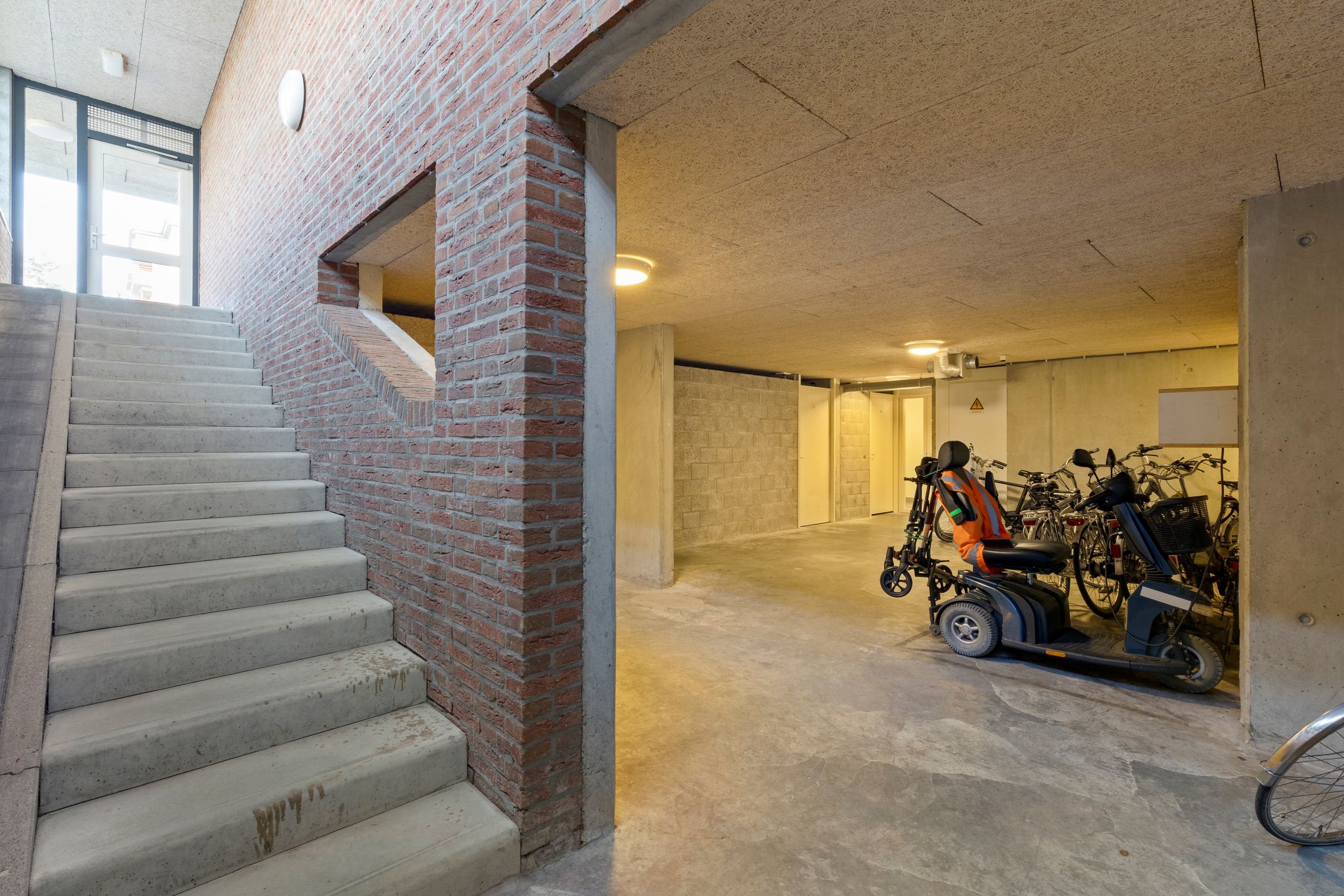 Foto 45 van Veldzuring 111