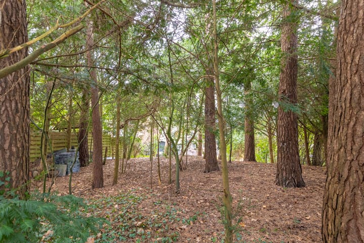 Foto 46 van Haydnlaan 40