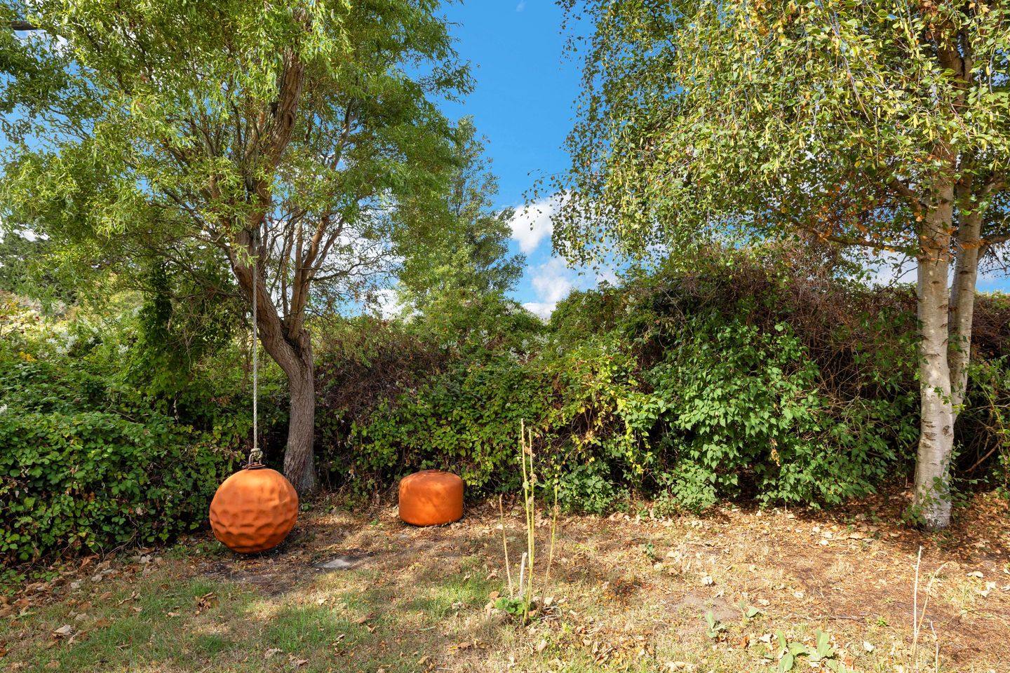 Photo 29 of Groenedijk 36