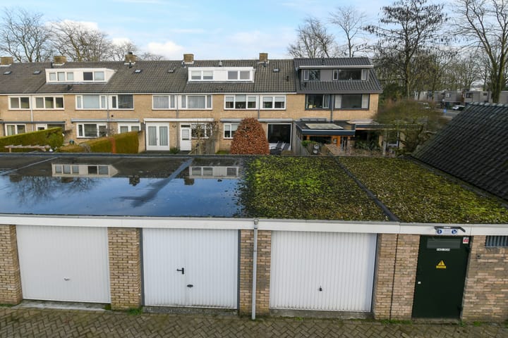 Foto 21 van Afrikalaan 21