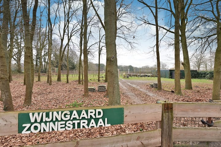 Foto 18 van Rading 102