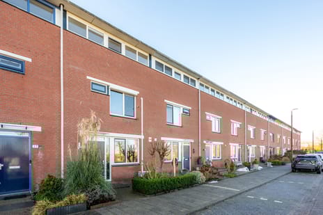 Willem Klooshove thumbnail