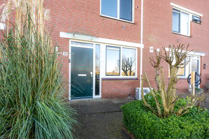 Foto 62 van Willem Klooshove 38