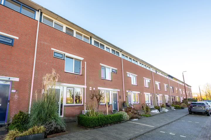 Foto 63 van Willem Klooshove 38