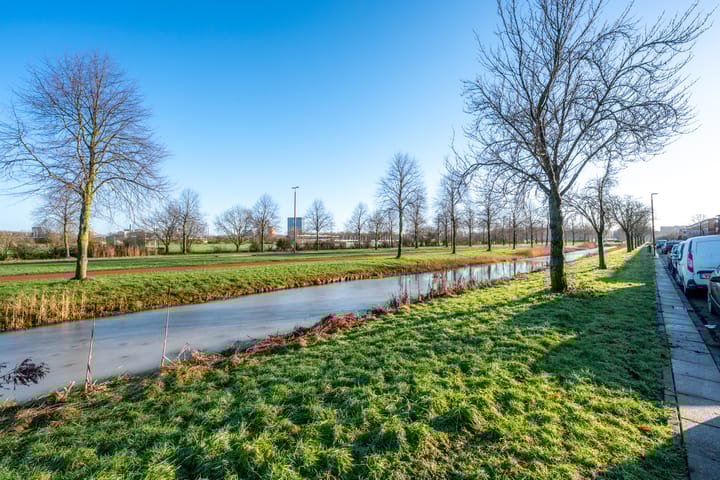 Foto 66 van Willem Klooshove 38