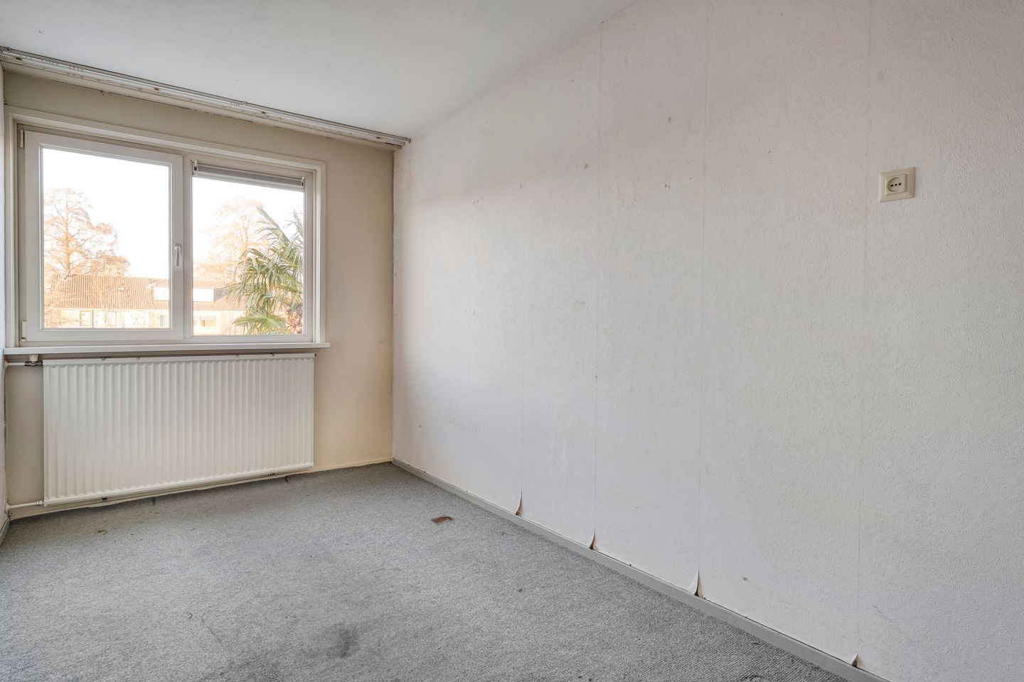 Photo 20 of Jalinkhof 9