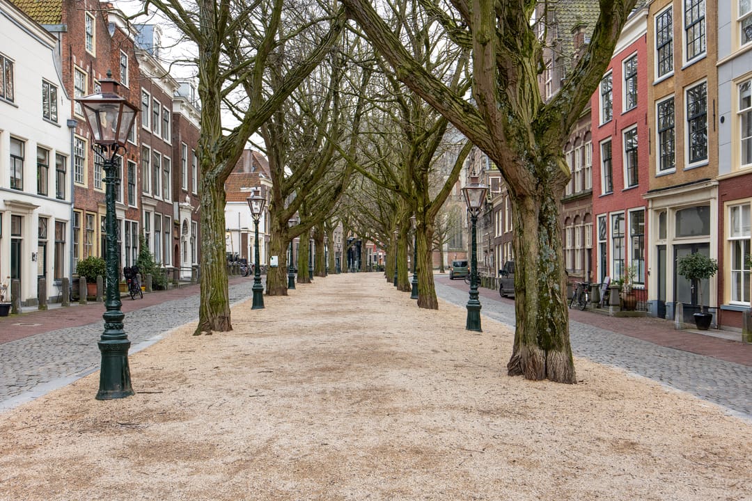 Foto 22 van Oude Rijn 62-B