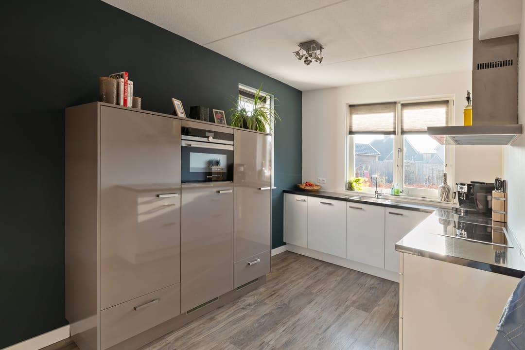 Foto 11 van de Pauwe 6