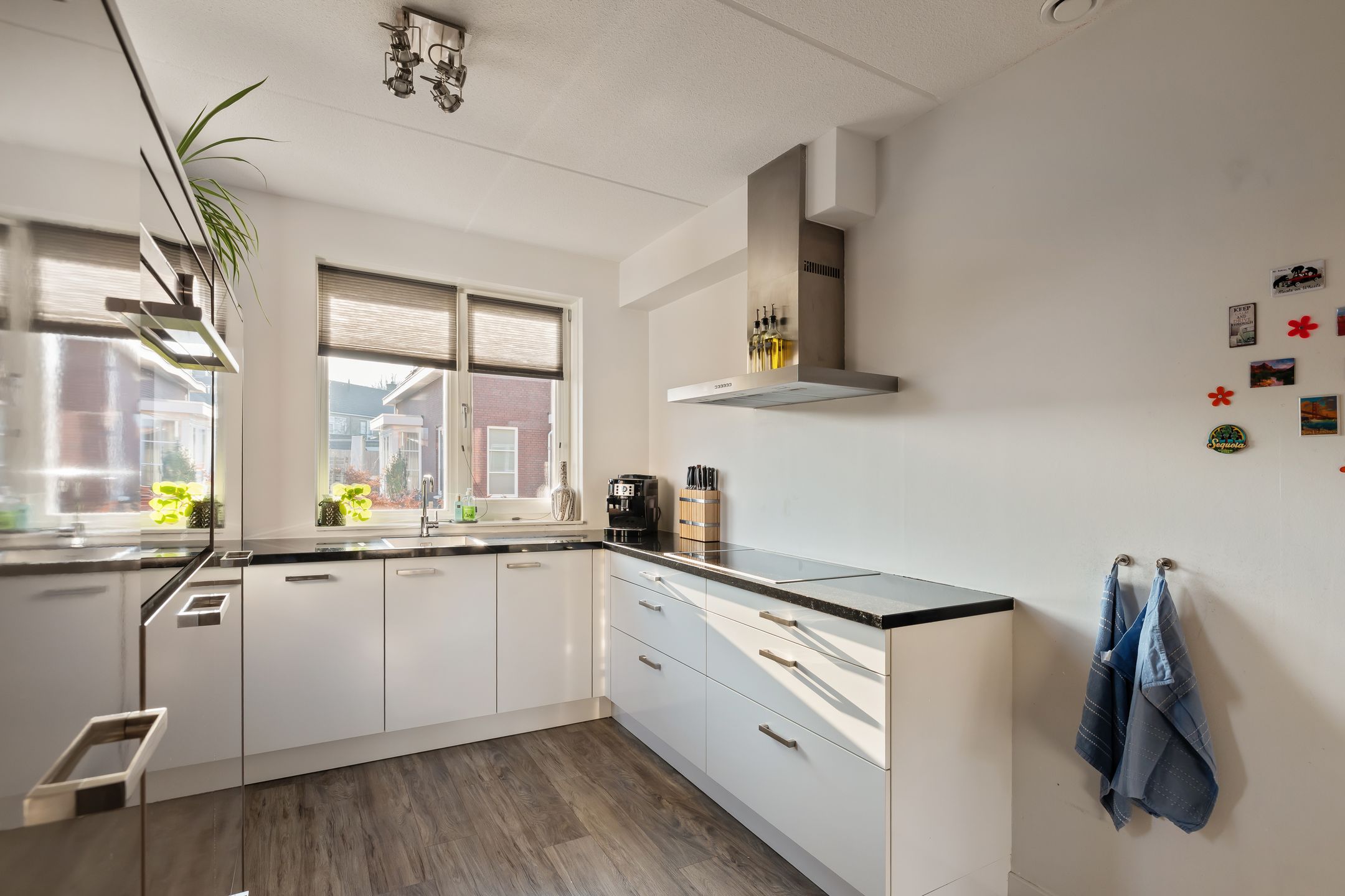 Foto 12 van de Pauwe 6