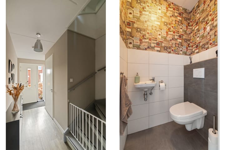 Foto 16 van de Pauwe 6