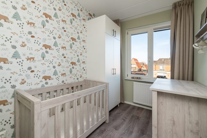 Foto 19 van de Pauwe 6