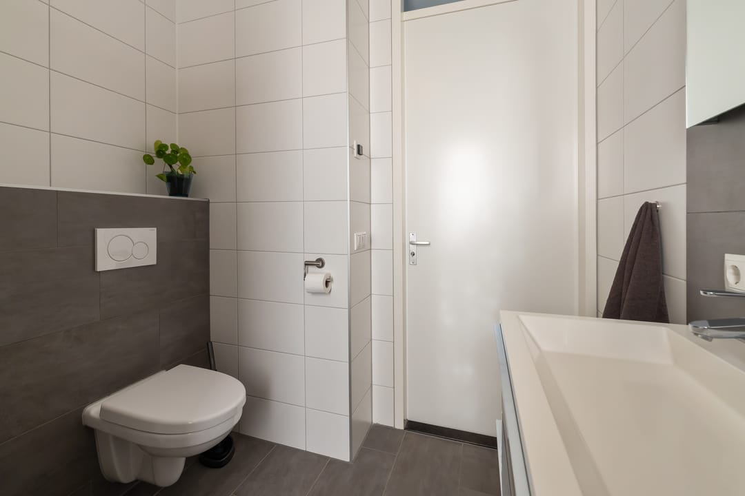 Foto 23 van de Pauwe 6