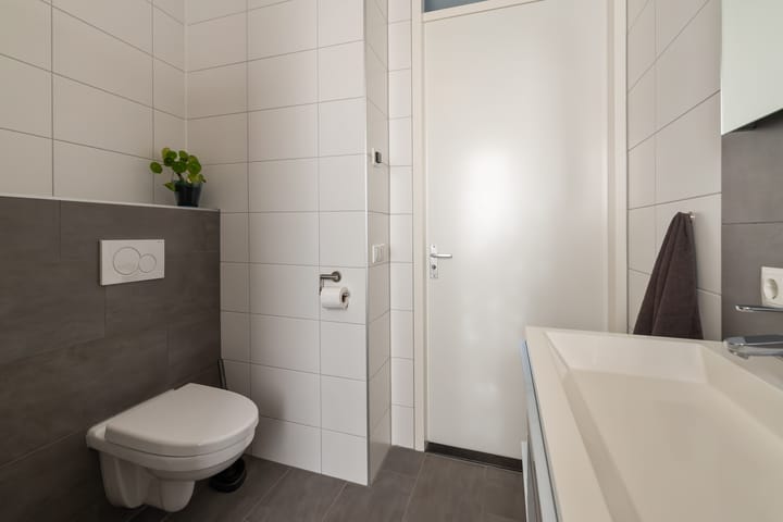 Foto 23 van de Pauwe 6