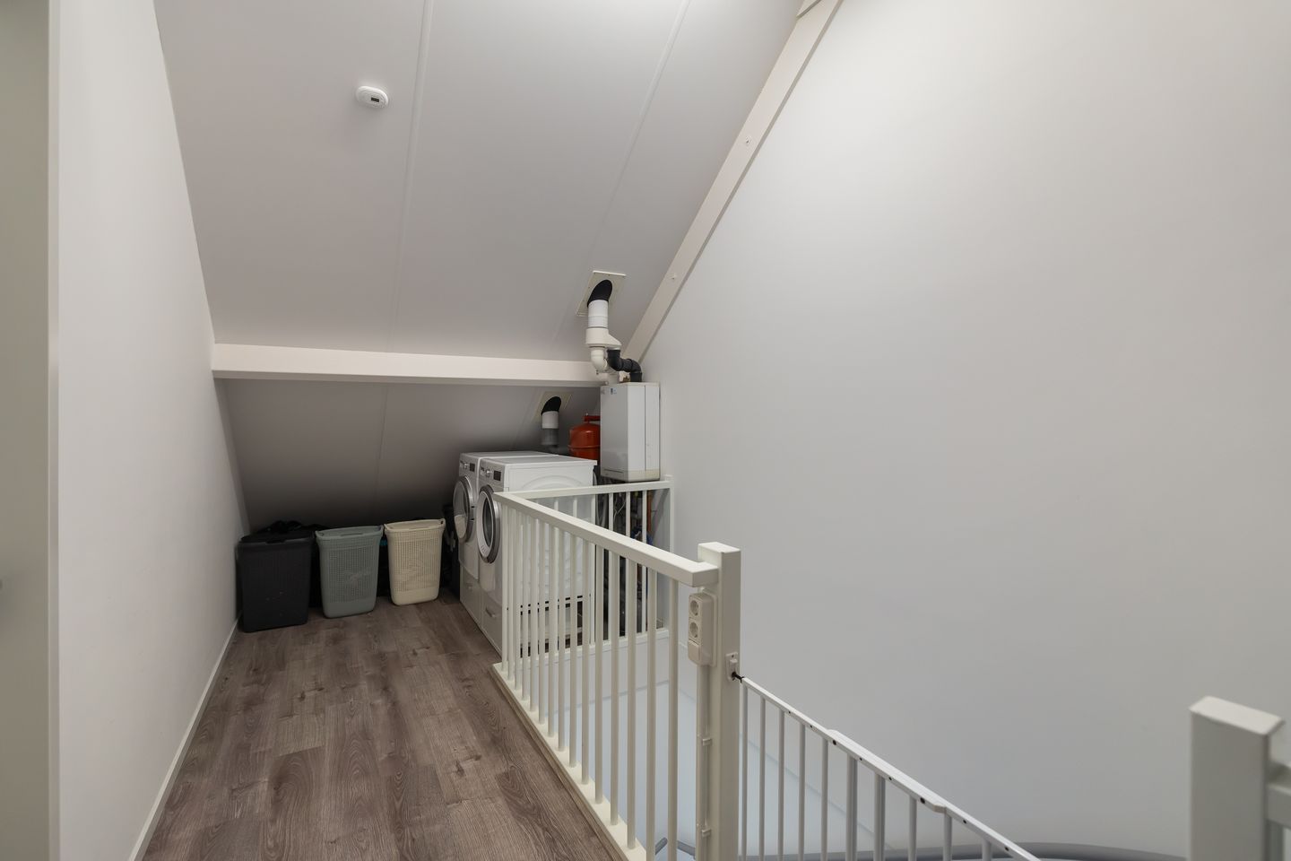 Foto 25 van de Pauwe 6