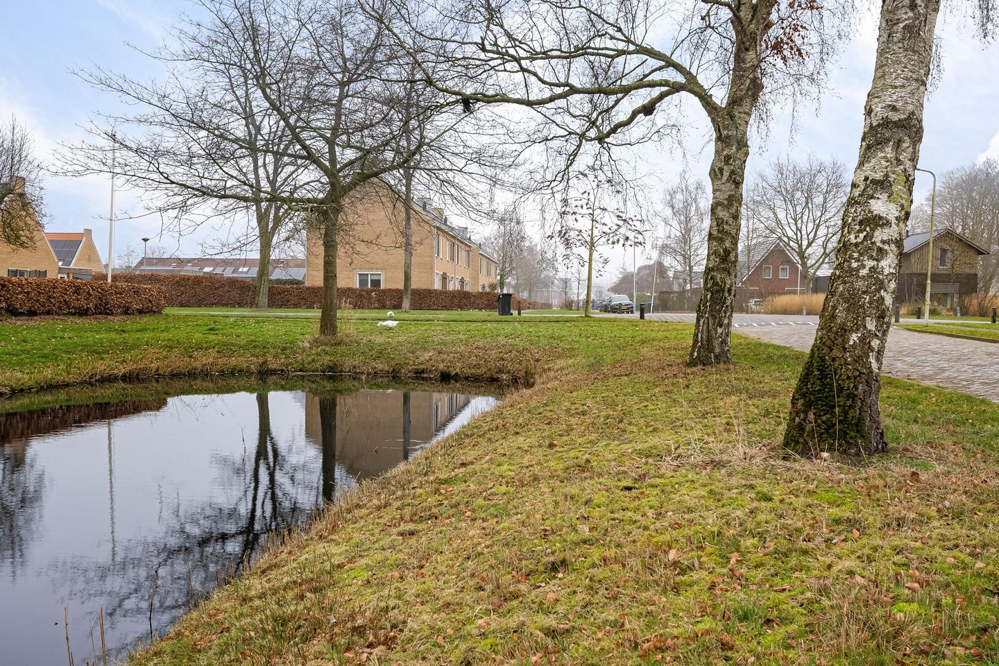 Foto 4 van Pastorielaan 68