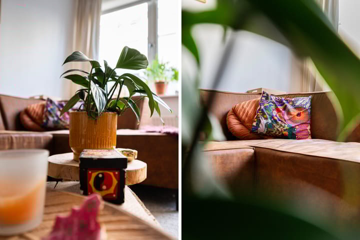 Foto 11 van Van der Poelstraat 15-A