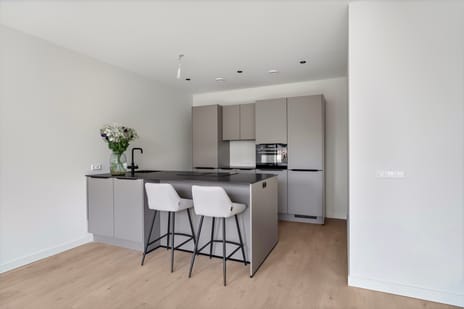 Korteweg 4 tertiary image