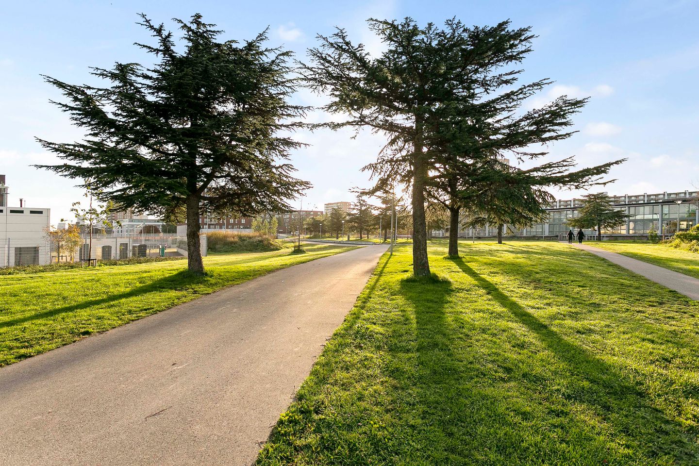 Foto 35 van Tripstraat 123