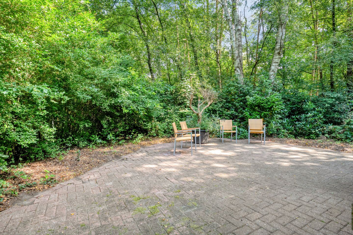 Foto 35 van Vilsterseweg 1-A008