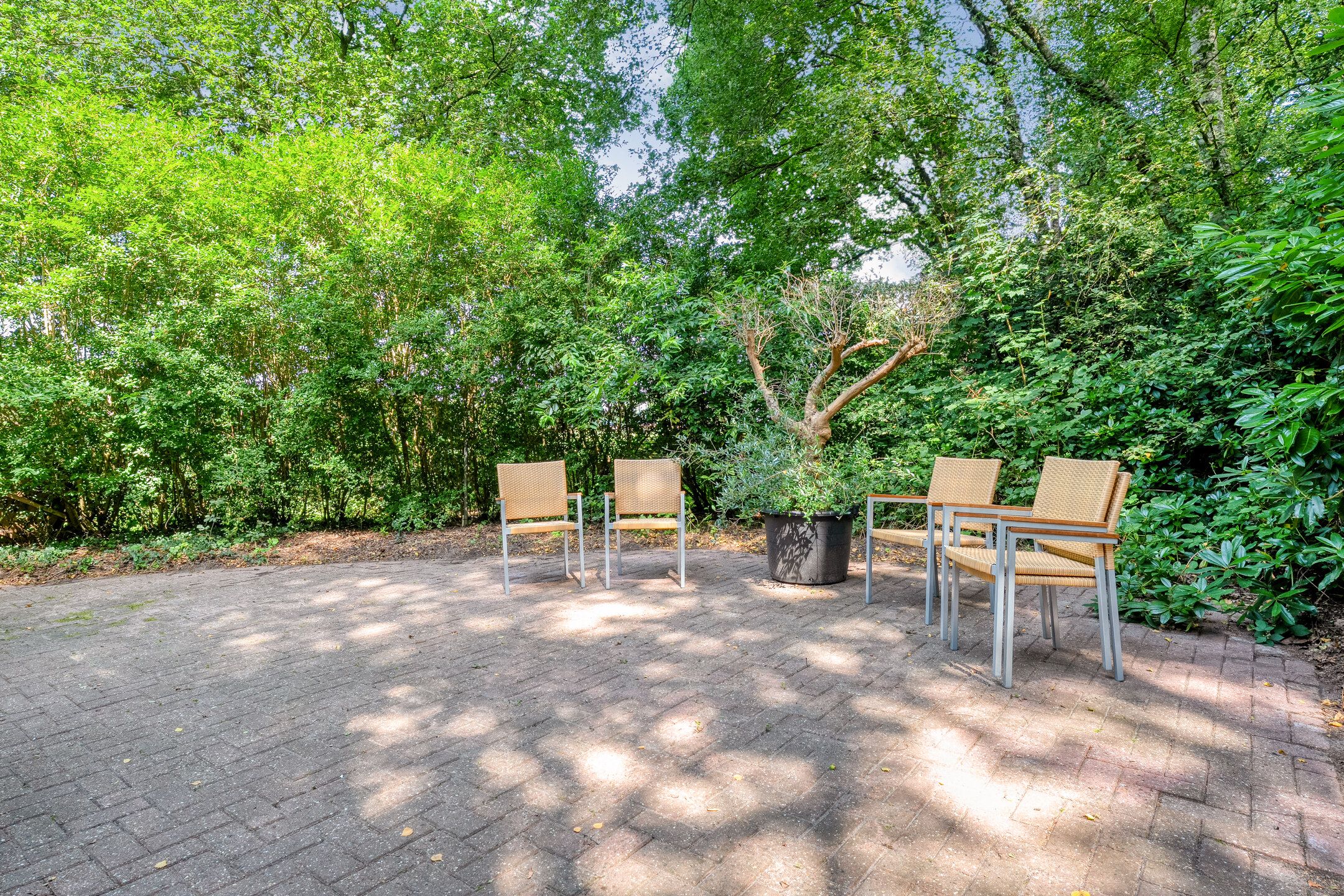 Foto 36 van Vilsterseweg 1-A008