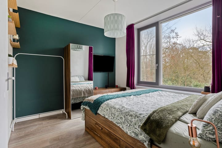 Photo 43 of Hendrik Veenemanstraat 52