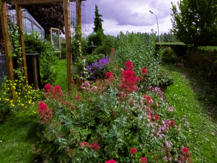 Foto 38 van Haarweg 4