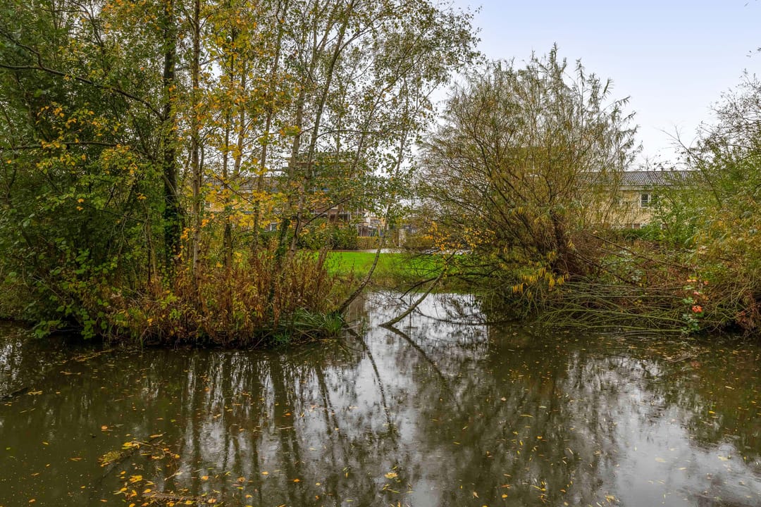 Photo 43 of Terbregseweg 42