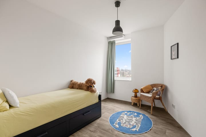 Foto 25 van Piet Mondriaanlaan 363