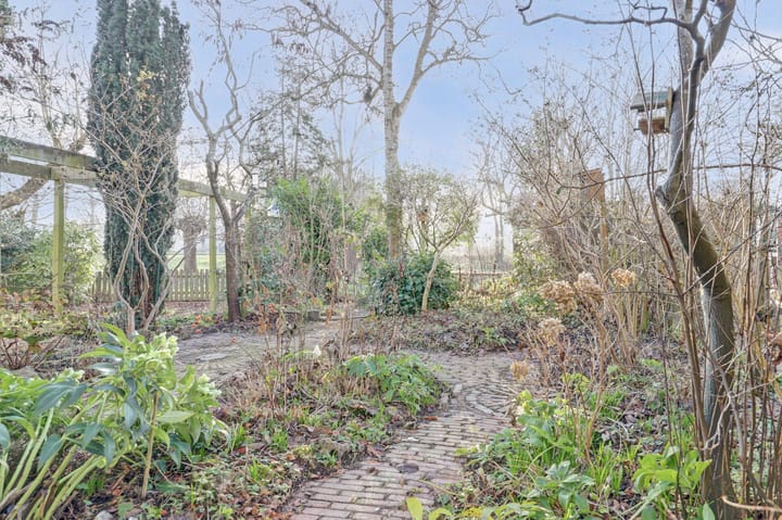 Photo 27 of Schoener 32